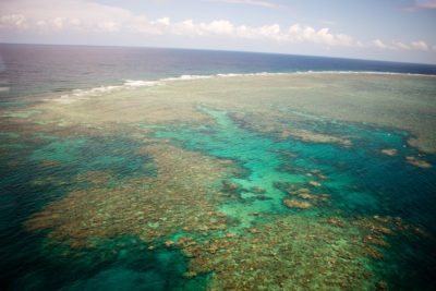 The BEST Great Barrier Reef Tour in Cairns, Australia + What to Know ...