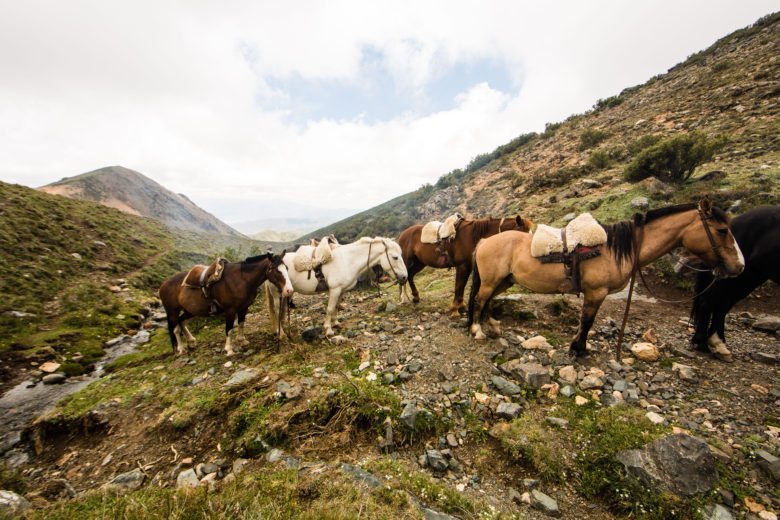 Argentina Must-Do: Riding Horses Through the Andes with Don Daniel Ranch