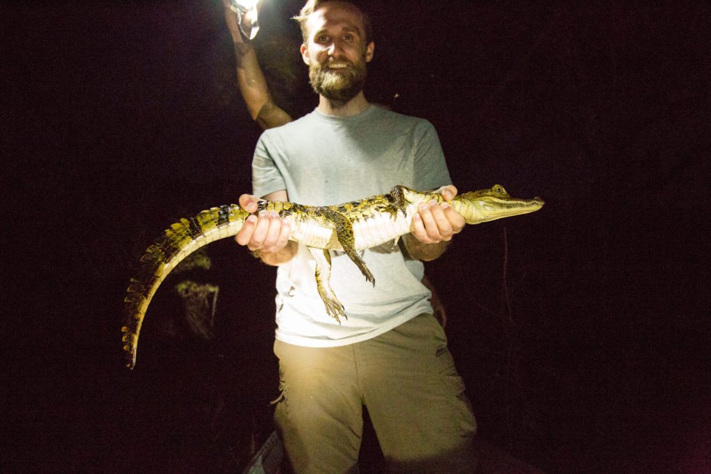 Spotting Wildlife in Peru's Amazon Rainforest