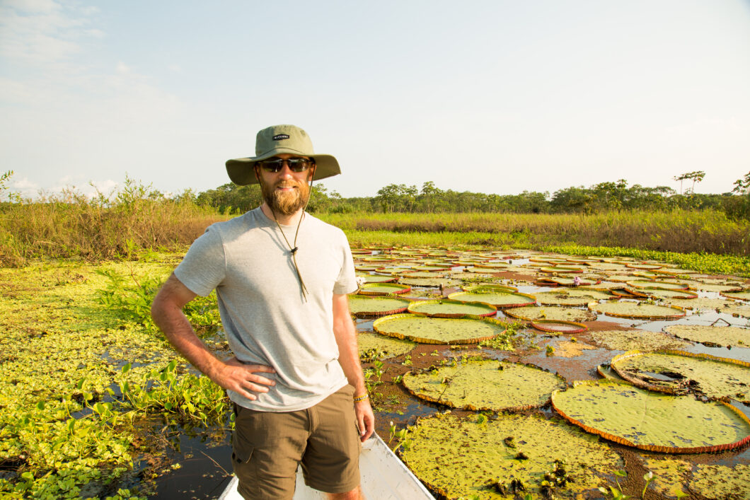 Giant lily pads in the Amazon