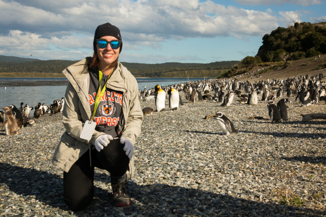 Penguins Martillo Island