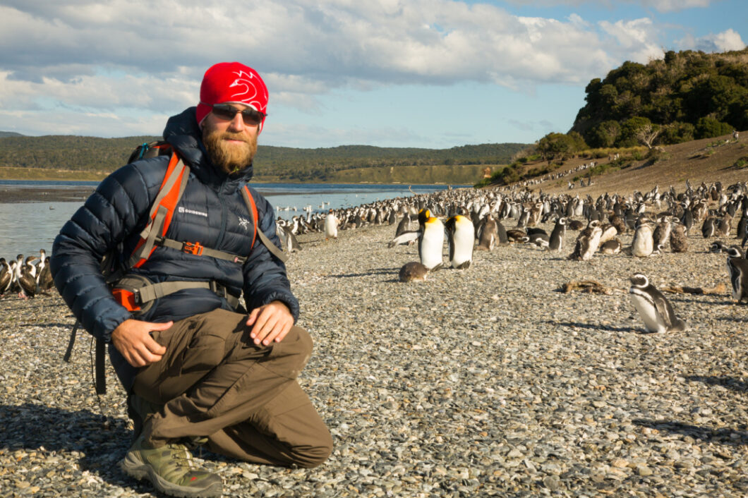 Penguins Martillo Island