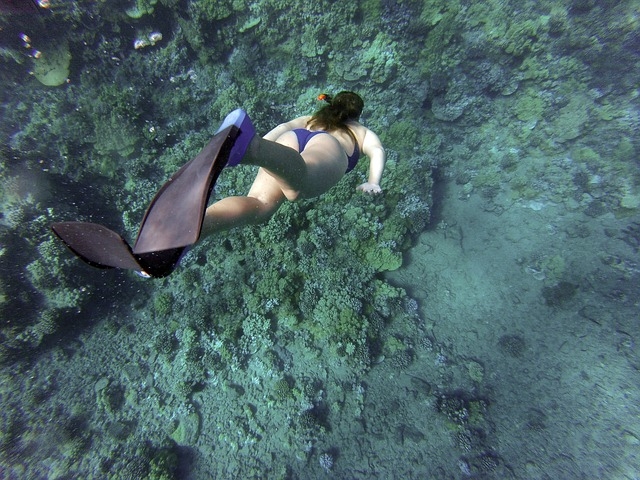 snorkeling 