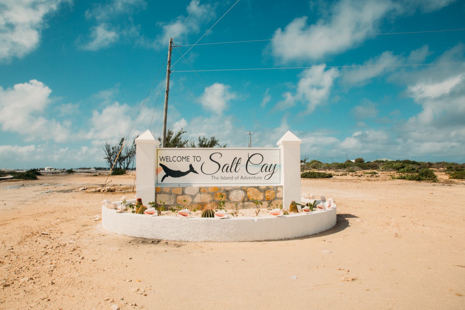 25 Photos To Inspire You To Visit Salt Cay In Turks Caicos