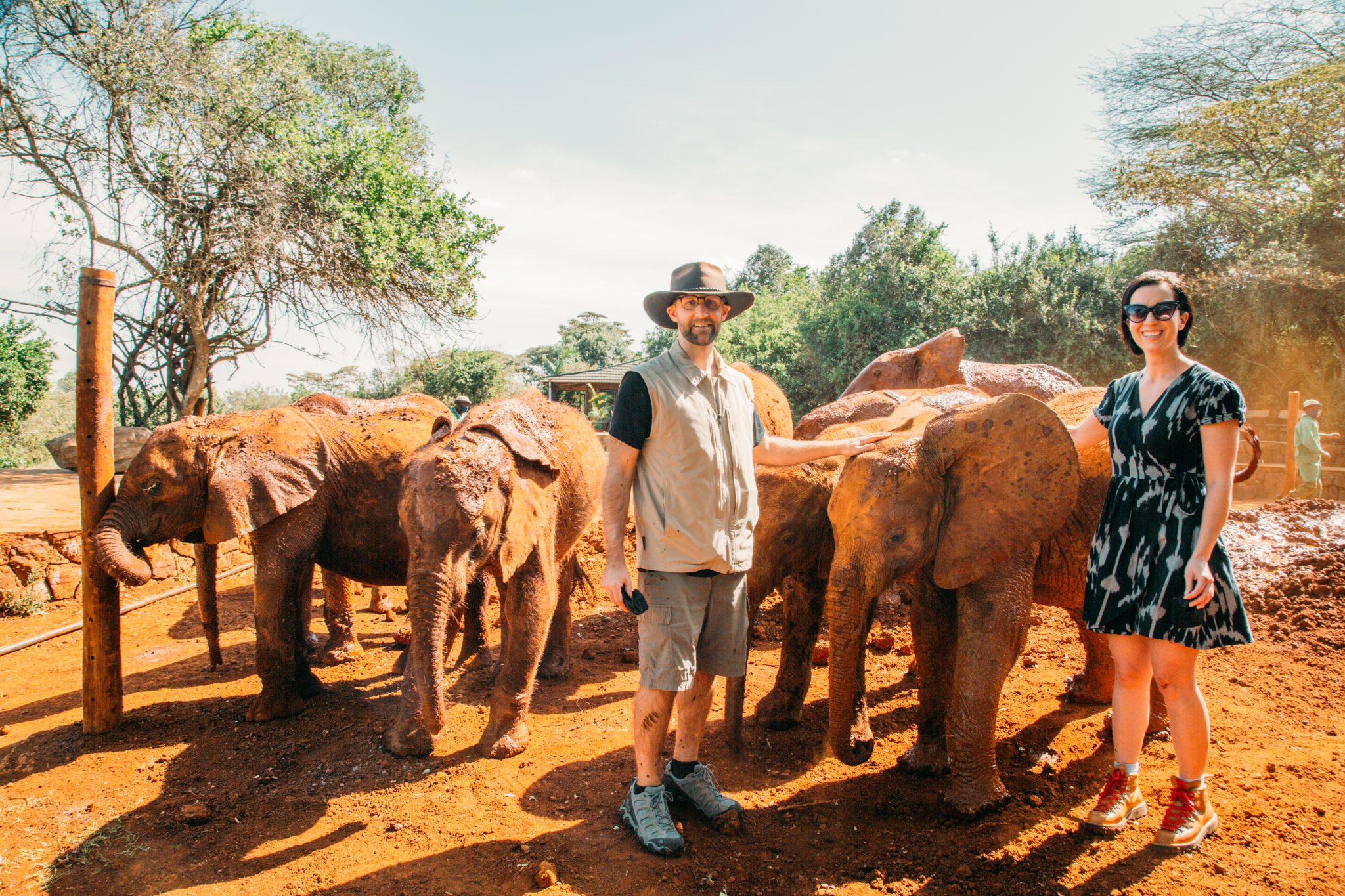 Sheldrick Wildlife Trust Visit in Nairobi, Kenya - What to Know Before ...