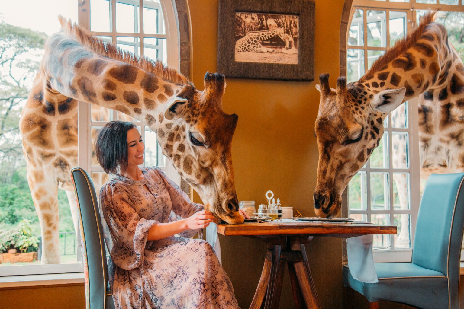 Honest Giraffe Manor Review Is It ACTUALLY Worth the Cost?