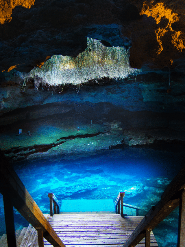 Devil’s Den – Florida’s Natural Springs