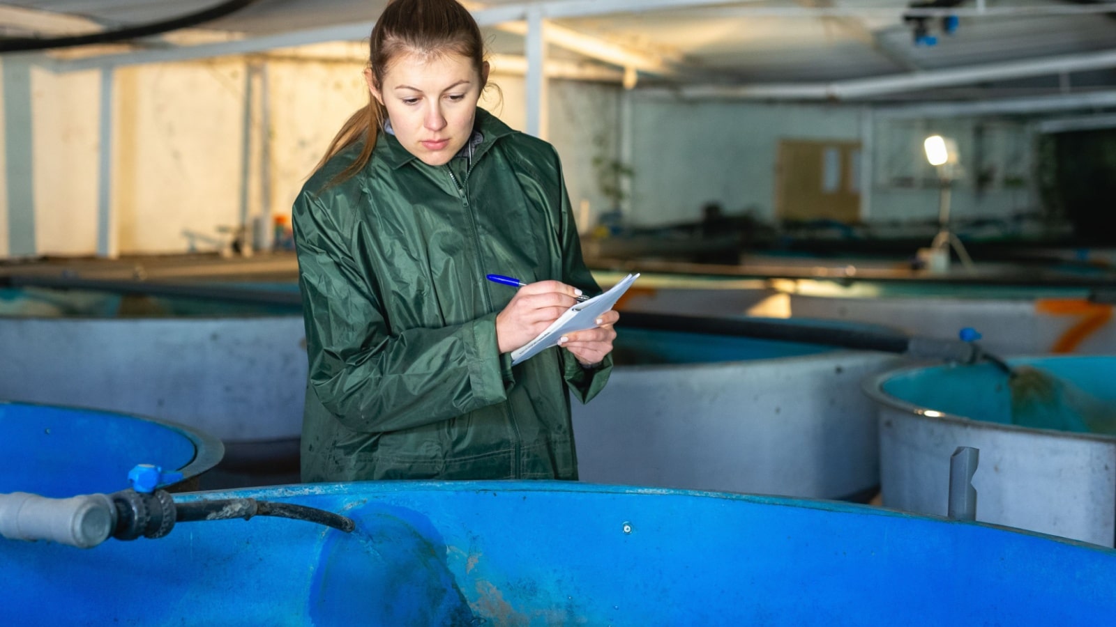 Young female worker of trout farm watching fish in pools, writing in notebook