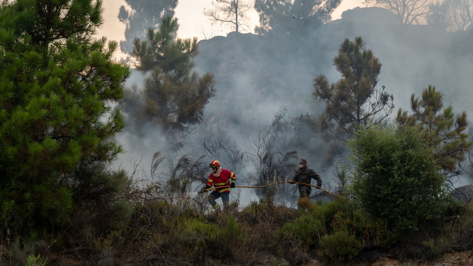 Firefighter and a resident in the middle of the burning hill with the hose putting out a fire that is burning and leaving a cloud of smoke around them