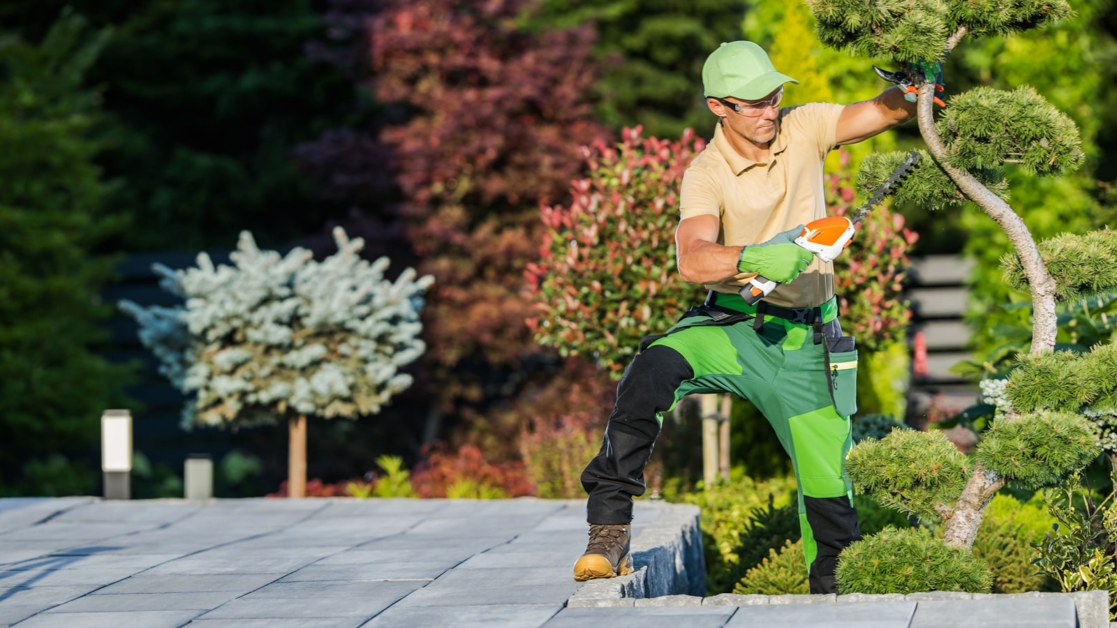 Professional Gardener Trimming and Shaping Decorative Plants Inside a Garden