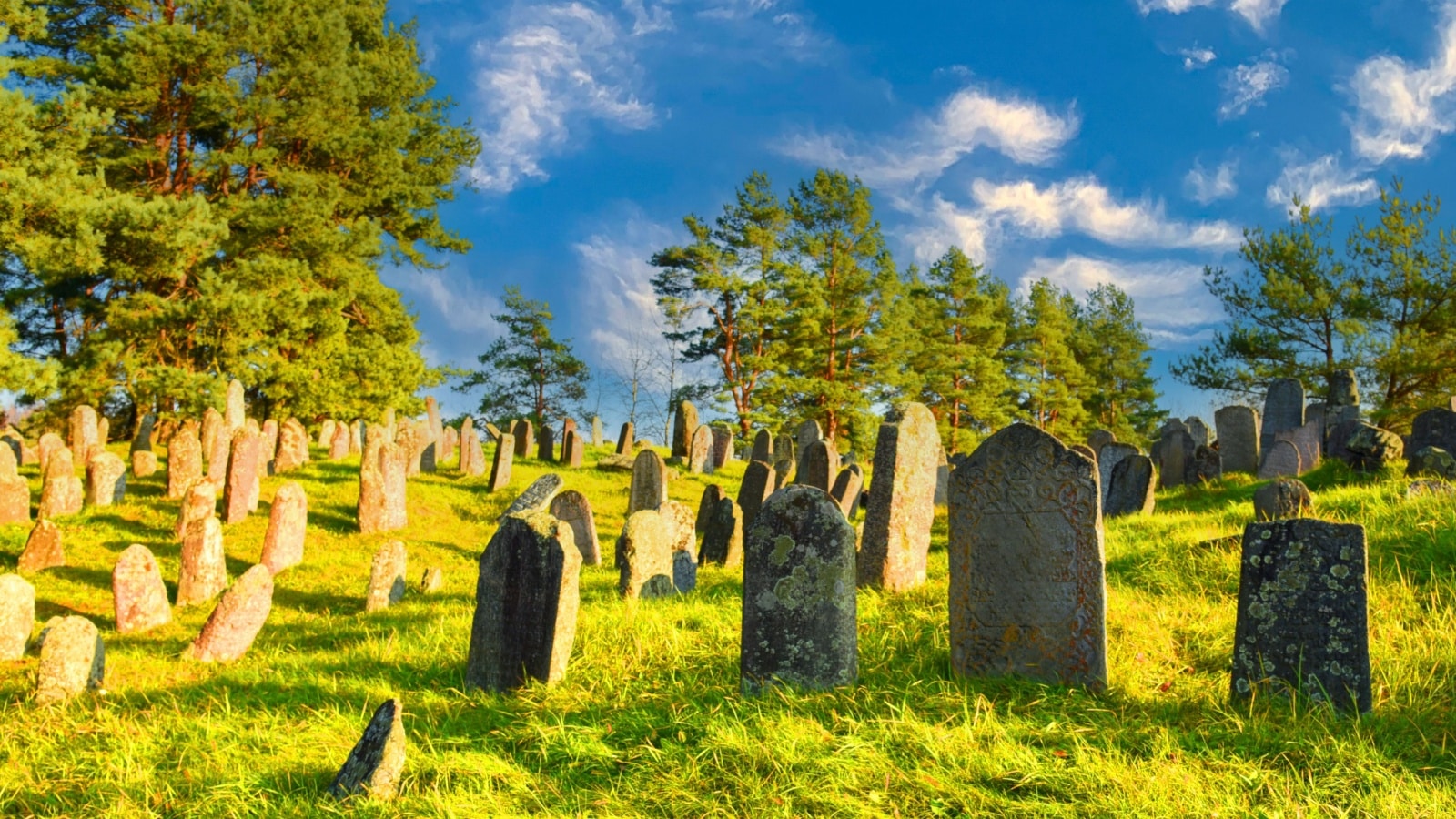 Cemetery with graves and tombstones. Abandoned grave. Gravestone on graveyard in forest. Old tombstone in old Jewish Cemetery. Tombstones on graveyard. Funeral concept.