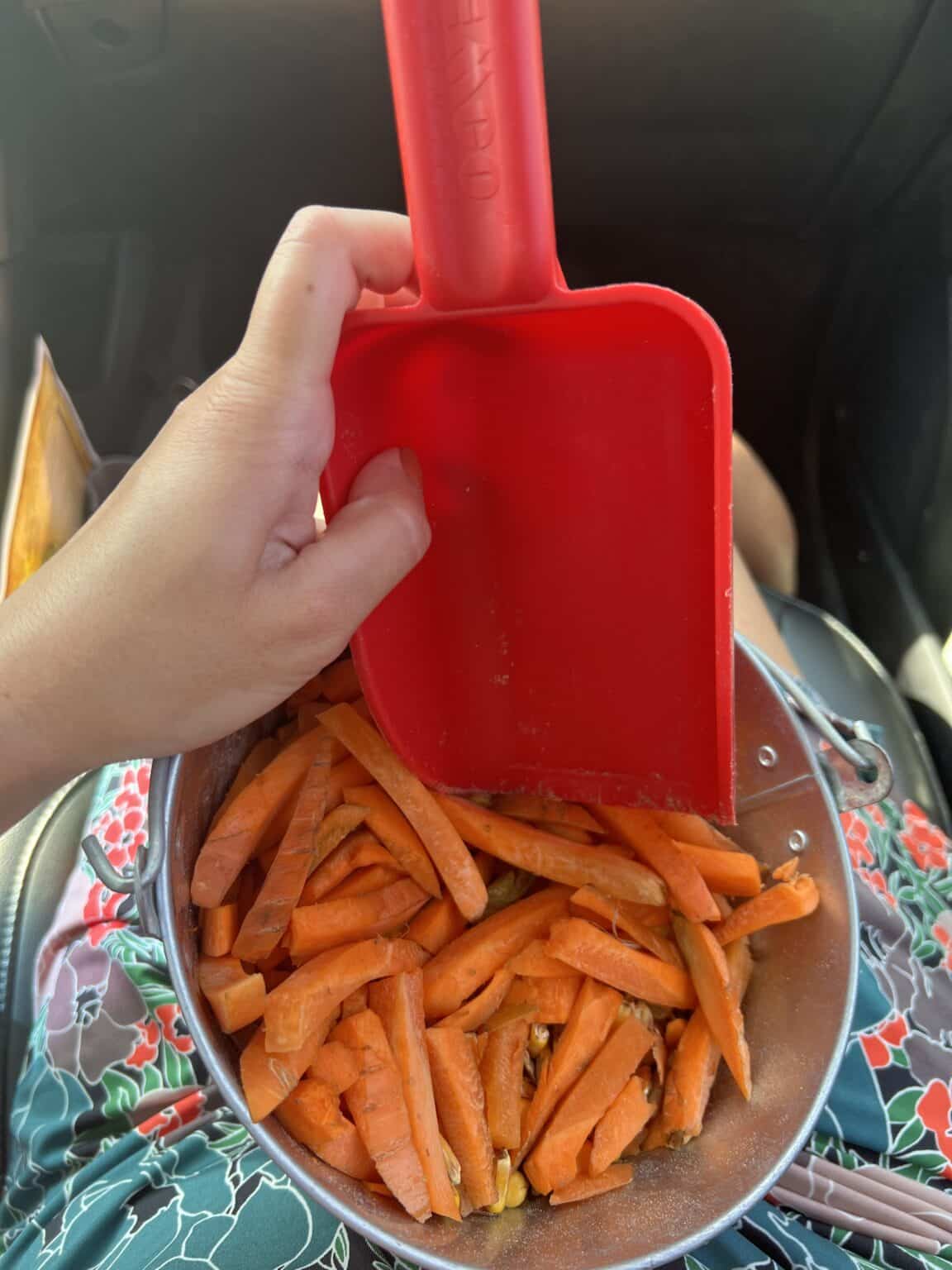 Photo of a bucket of carrots and a scoop in Lindsey's lap