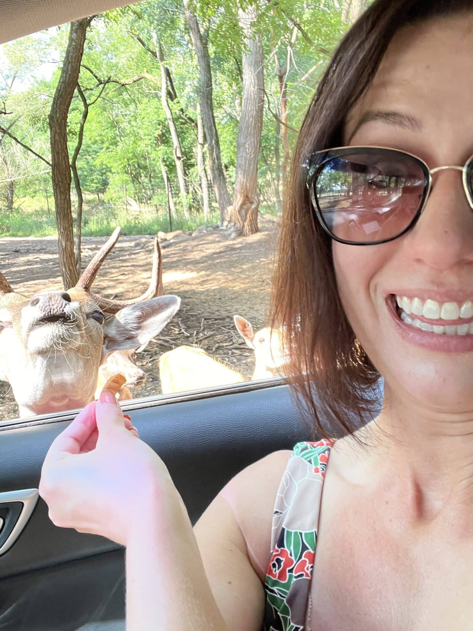 Lindsey taking a selfie feeding the deer at a drive-through safari in Wisconsin