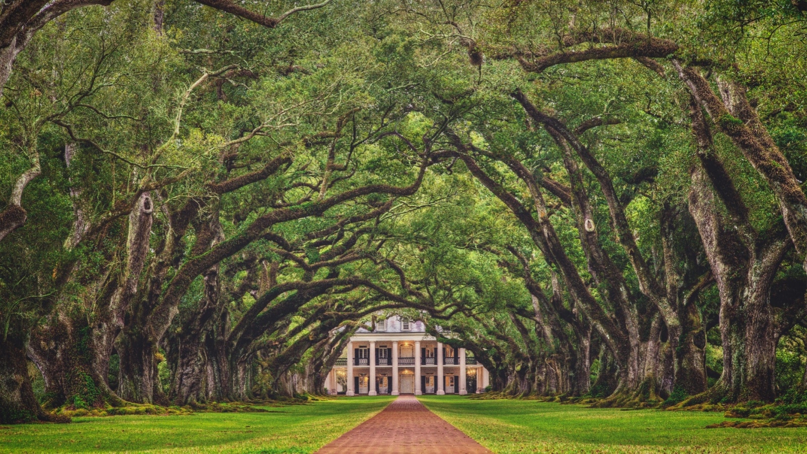 Looking down the tree tunnel of the infamous Oak Alley Plantation in Vacherie, Louisiana, arguably one of the best preserved and most stunning plantations of the antebellum south.