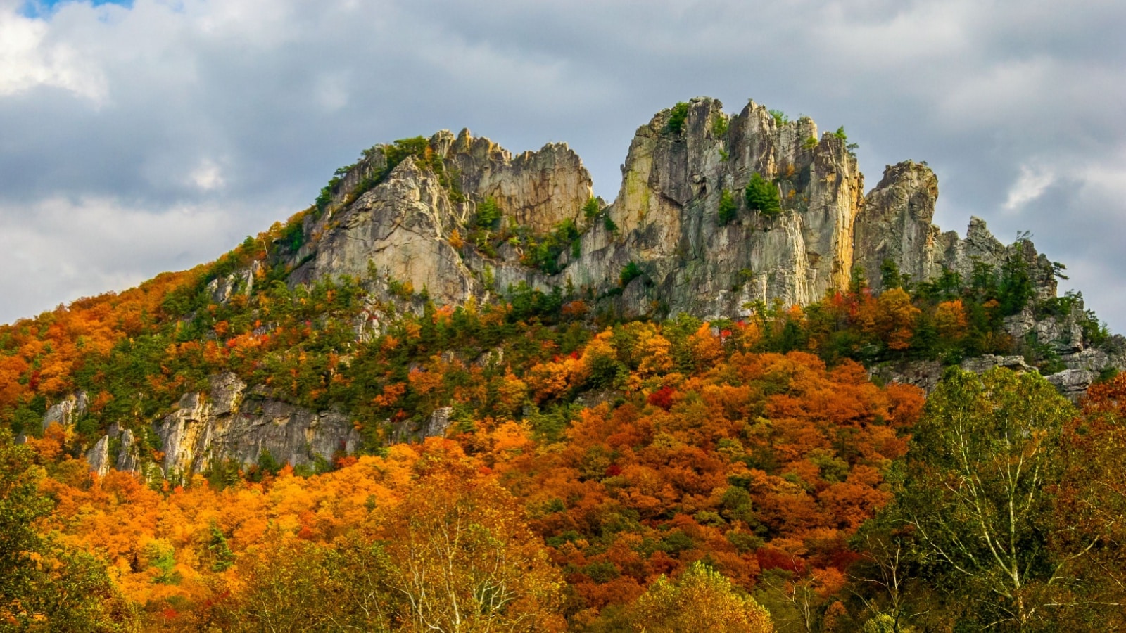 This is the upper area of Seneca Rocks National Recreational Area in the Monongahela National Forest in West Virginia. Beautiful orange Autumn colors surround the rocks of this famous climbing area.