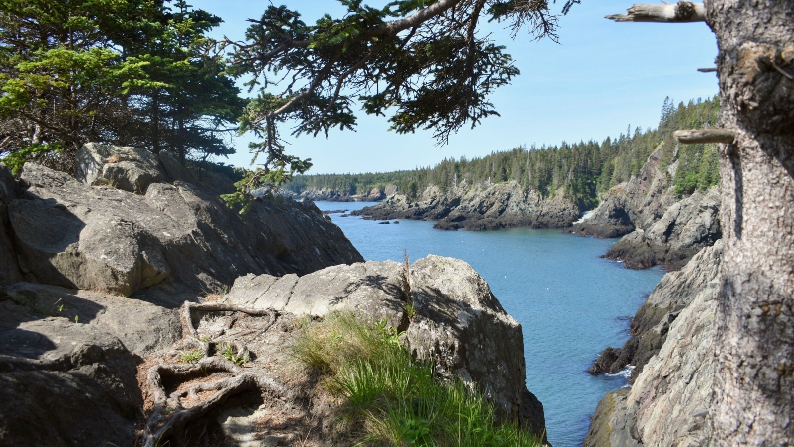 Bold Coast Trail. Northern Maine.