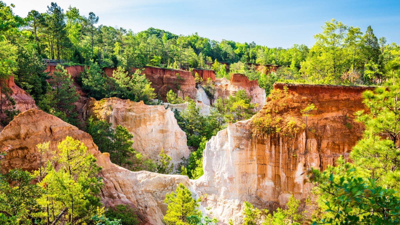 Landscape of Providence Canyon, Georgia, USA