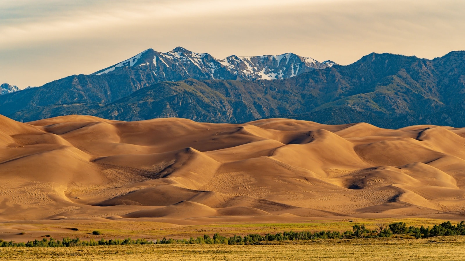 Sunny view of the landscape of Great Sand Dunes National Park and Preserve at Colorado