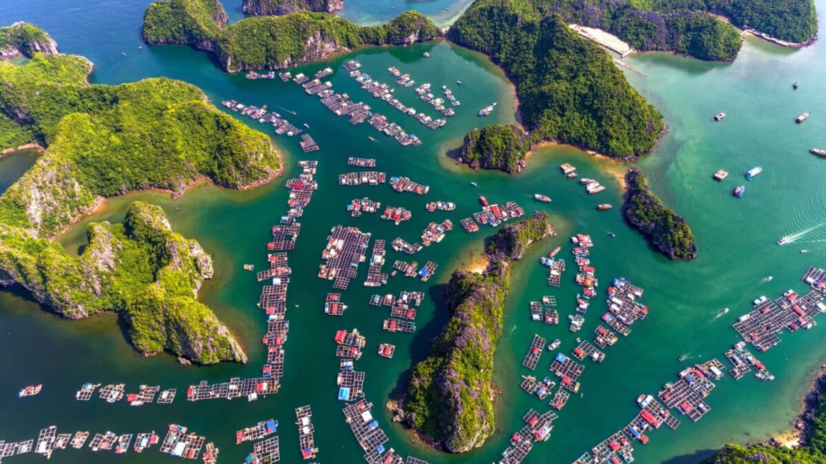 Floating fishing village and rock island in " Lan Ha " Bay, Vietnam, Southeast Asia. UNESCO World Heritage Site. Landscape. Popular landmark, famous destination of Vietnam. Near " Ha Long " bay