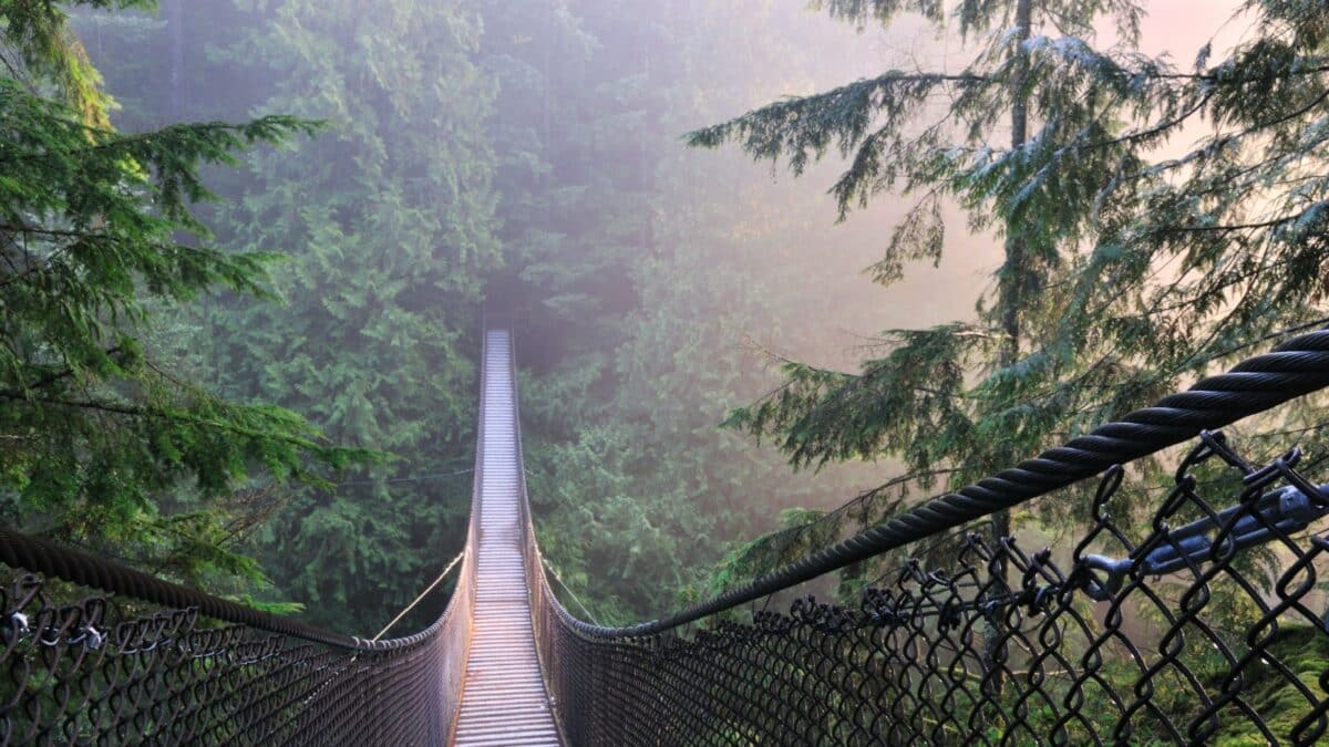 Lynn Canyon Park & Suspension Bridge in Lynn Valley