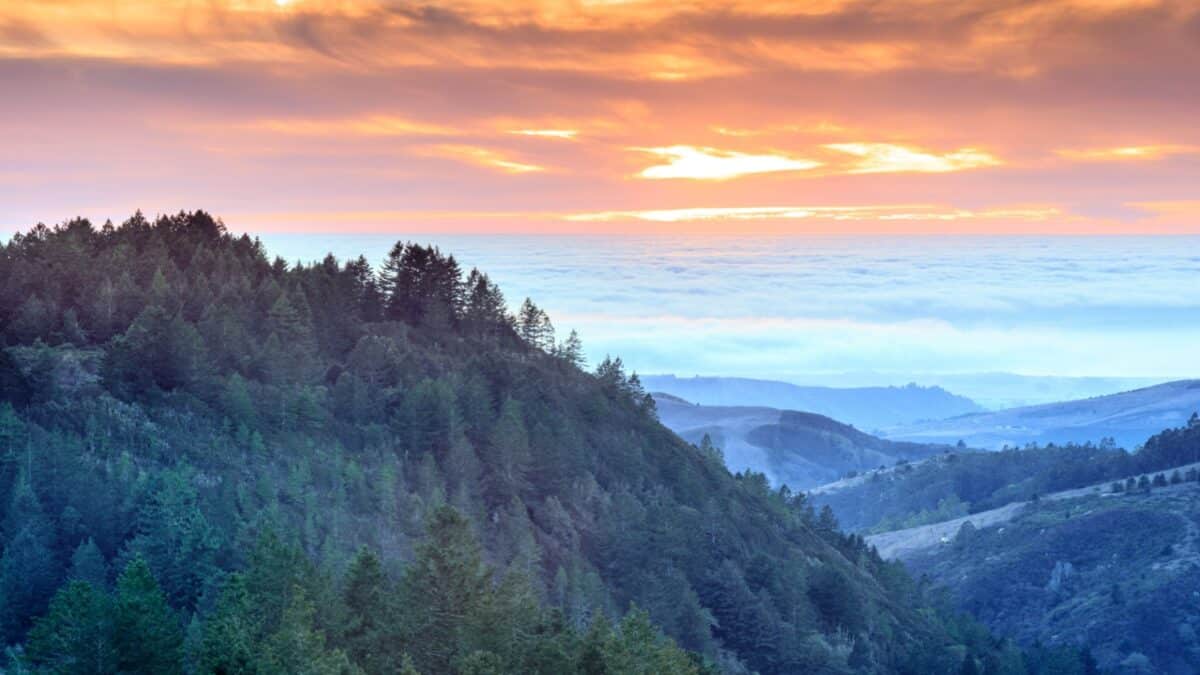 Fire and Ice. Vibrant Skies Above Foggy Pacific Ocean in Santa Cruz Mountains. Purisima Creek Redwoods, Woodside, San Mateo County, California, USA.