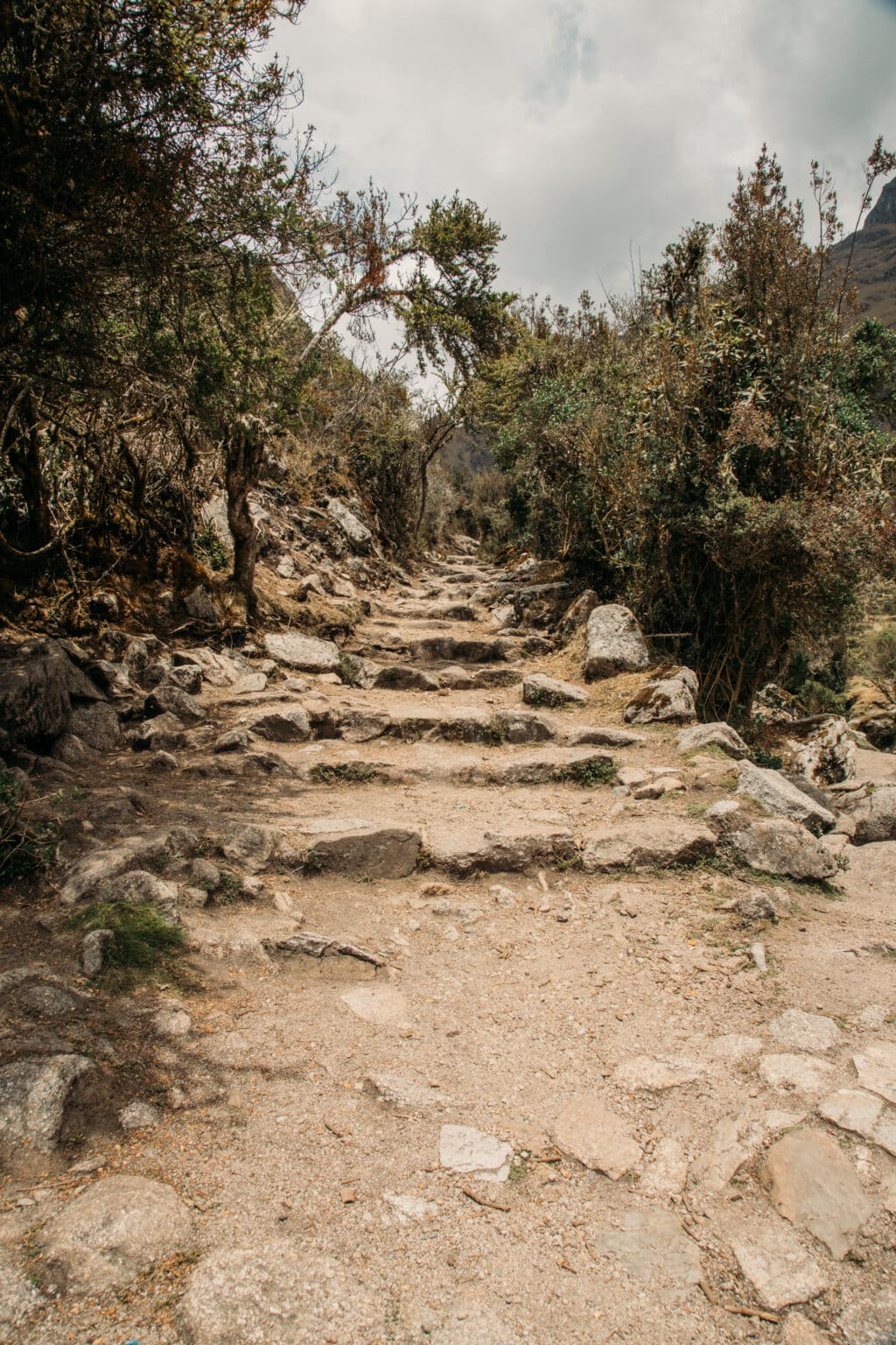 The Inca Trail steps