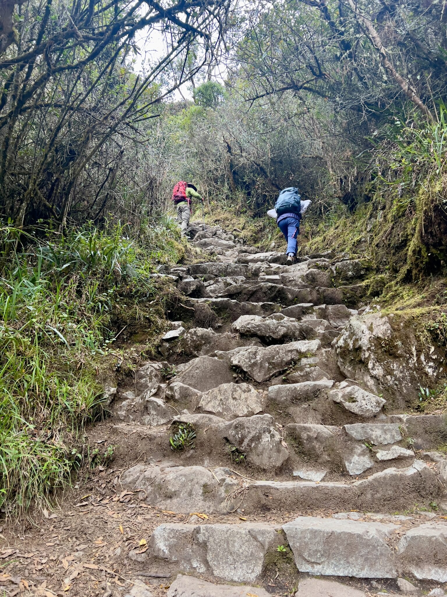 The stairs of the Inca Trail with two hikers