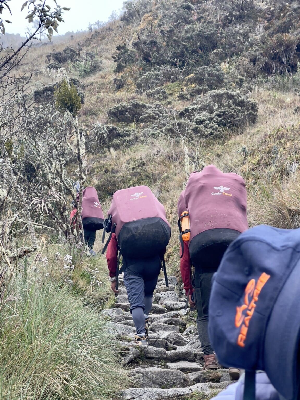 Inca Trail porters carrying supplies up the stone steps