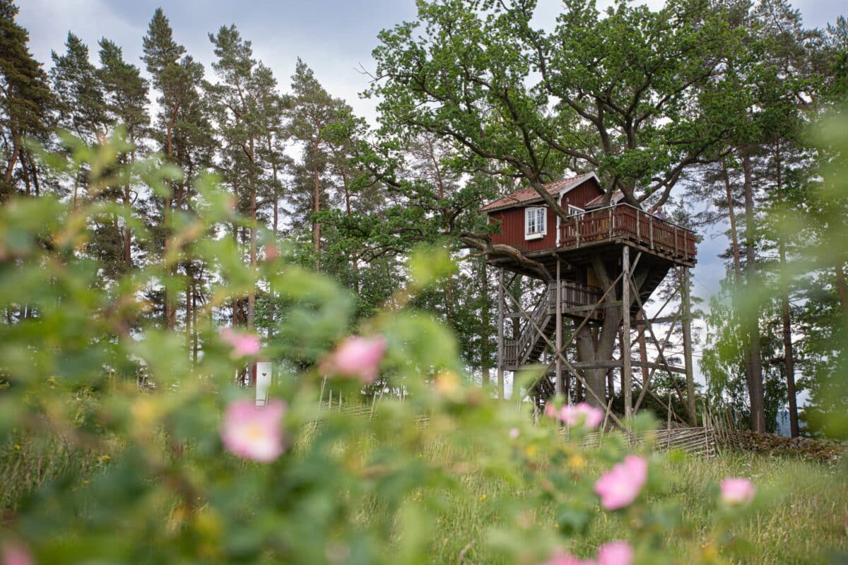 Islanna Treehouse Hotel