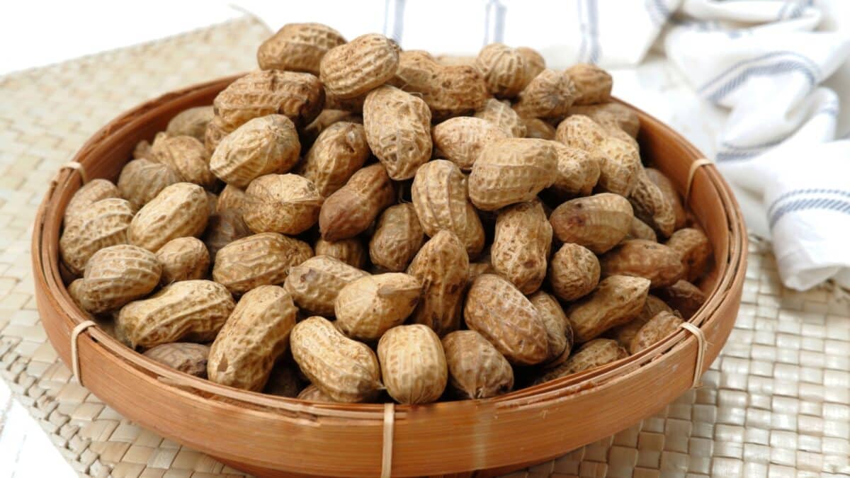 Boiled peanuts in bamboo plate on white background