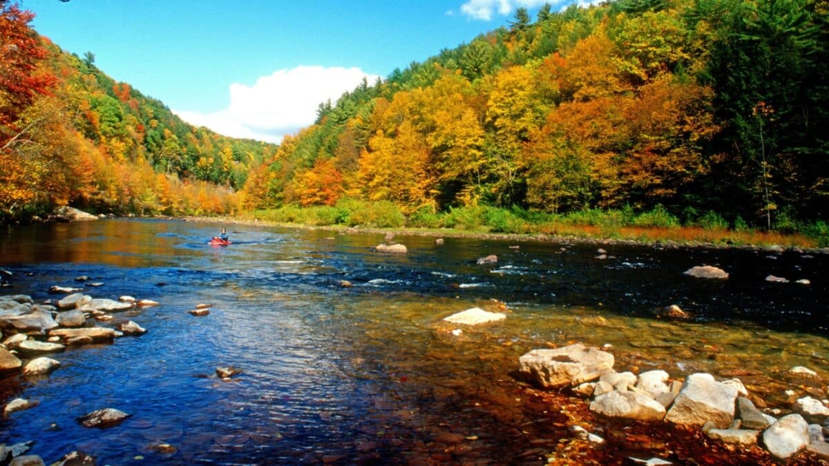 Kayaker, Autumn, Lehigh River, Pocono Mountains, Pennsylvania, 2004