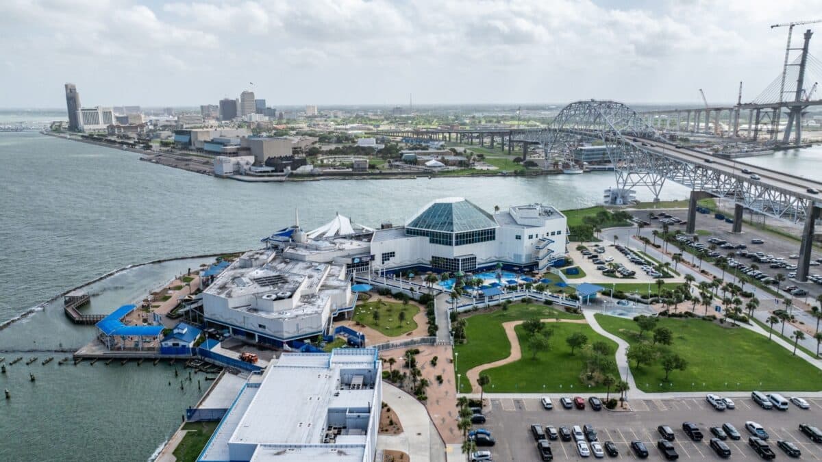 Corpus Christi, TX, USA - 8-2-24, aerial landscape view of area around Texas State Aquarium located next to Harbor Bridge and skyline of Corpus Christi Downtown in background