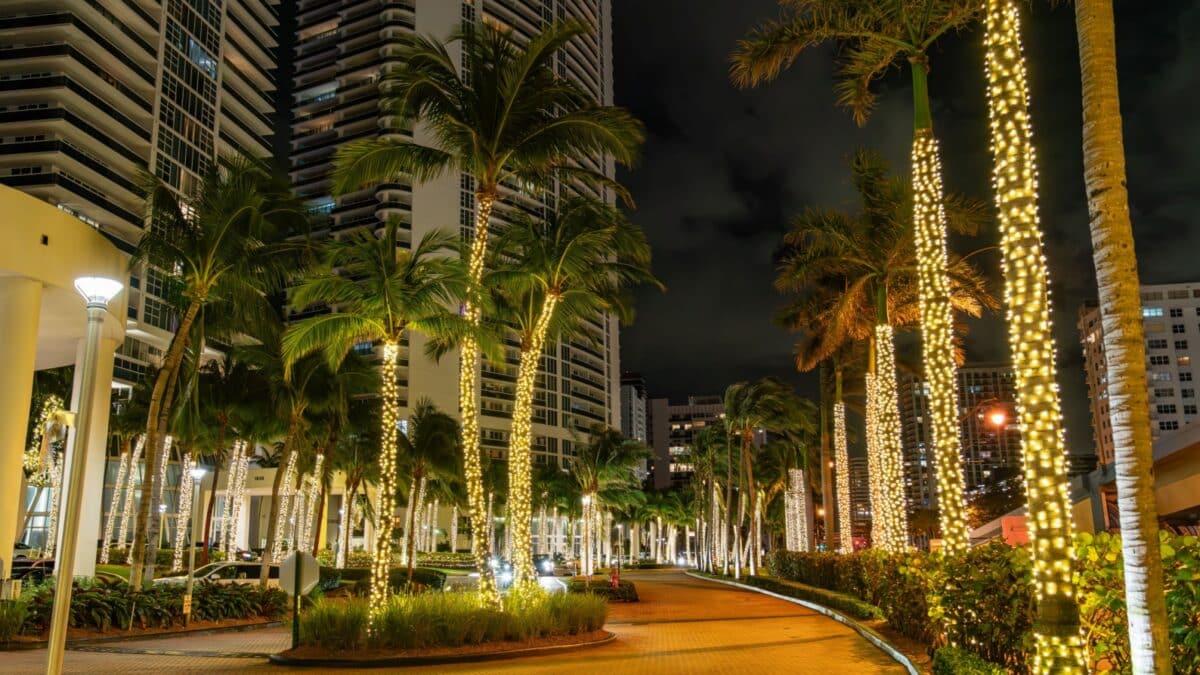 Miami, Florida - December 22, 2023: Palm trees decorated with the lights for Christmas and New Year 2024.